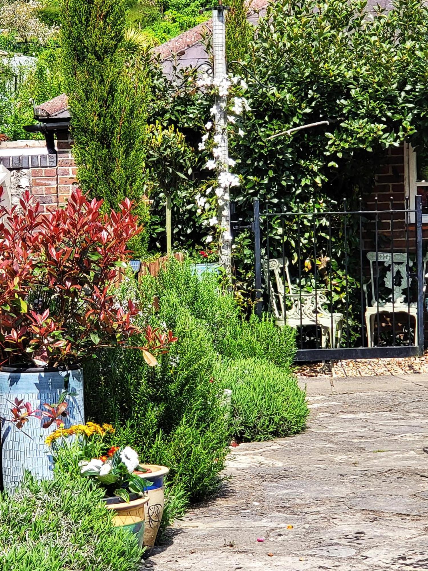 Escape The Ordinary - Piddle Inn The Home Private Self Cater Holiday Dorchester Exterior photo